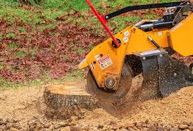 Best Tree Mulching  in Good Hope, AL